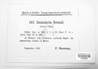 Ramularia geranii image